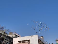 -石炮台公园