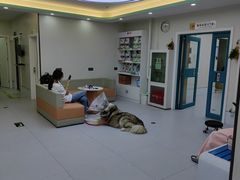 -达爱动物医院·犬猫分区·CT·复杂眼科(远洋山水分院)