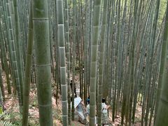 -海窝子古镇