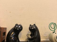 -金龙咖喱
