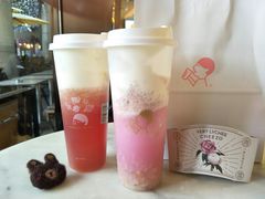 多肉粉荔-喜茶(深圳福田星河COCO Park店)