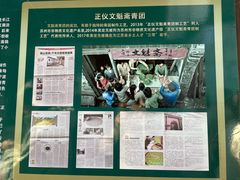 -文魁斋