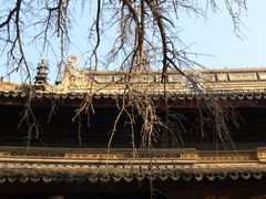 -西园戒幢律寺