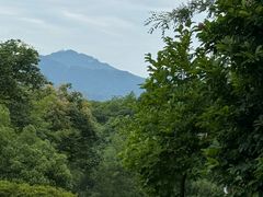 -宜兴龙背山森林公园