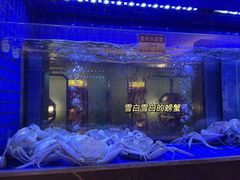 -協成海鮮火鍋(老店)