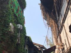 -胖娃古镇鸡杂(磁器口总店)