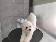 -佳雯宠物医院(四明中路分院)