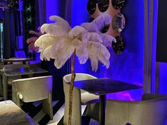 -Darling Queen·Mini·Live·House