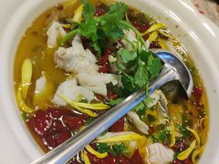 酸菜鲈鱼-彩景大酒楼(万泰新天地店)