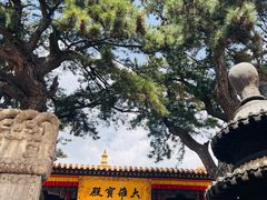 -五台山风景名胜区