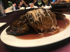 罾蹦鲤鱼-津菜典藏河西店(水上店)
