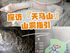 -上海佘山国家森林公园天马山园