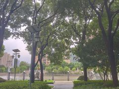 -陈家山荷花公园