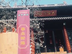 -灵谷景区
