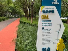 -海河外滩公园