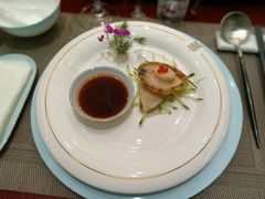 -丁老爷子苏香圆