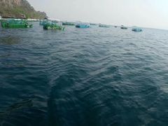 -抚仙湖禄充风景区