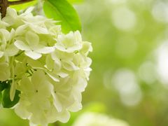 -重庆平顶山公园