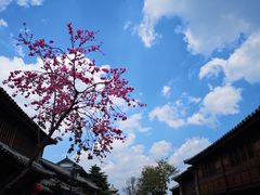 -阿鹏故事云南野生菌火锅(人民路店)