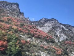 -秦岭风景区