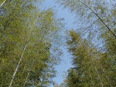 -陶祖圣境风景区