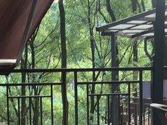 -巴倒烫陆派火锅山庄(南山总店)