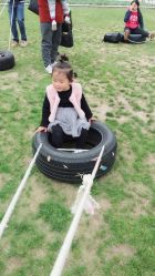-前小桔亲子创意农场·草莓采摘·露营烧烤