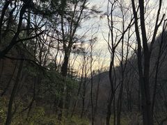 -王顺山国家森林公园