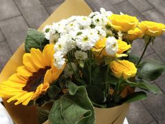 -循礼门鲜花花市(武汉循礼门店)