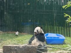-沈阳森林动物园