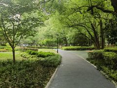 -徐家汇源景区-衡山公园