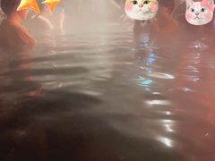 -汉拿山温泉度假酒店