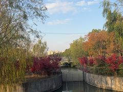 -上海浦江郊野公园-2号停车场