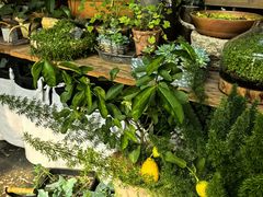 -北马山庄植趣咖啡