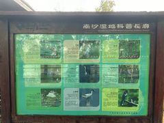 -大湾区中央湿地公园
