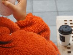 -常识咖啡common sense(春熙路店)