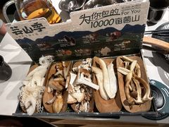 -芸山季·云南山珍菌火锅(南翔印象城MEGA店)