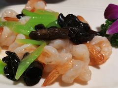 -云中小雅
