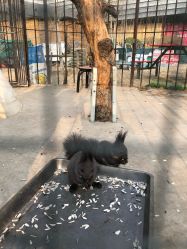 -萌宠亲子动物乐园(槐房万达店)