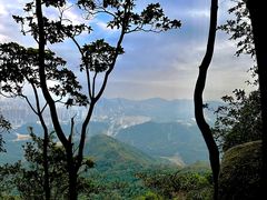 -阳台山森林公园