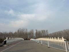 -马家湾湿地公园