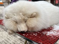 -张包铺(道外店)