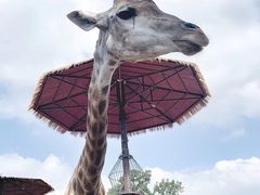 -济南野生动物世界