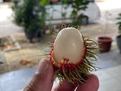 -真浪大家乐海鲜餐馆