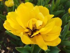 -长春公园(普阳街道)