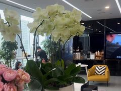 -马泷齿科·成都锦江置略马泷口腔门诊部(IFS国金中心店)