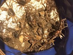 -东海半边山旅游度假区