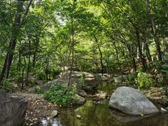 -灵溪风景区