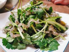 -全乐鱼馆·淳牌有机鱼直营店