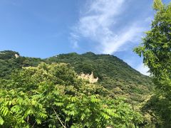 -都江堰石锅鱼